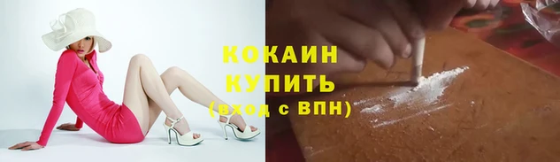 apvp Кинешма