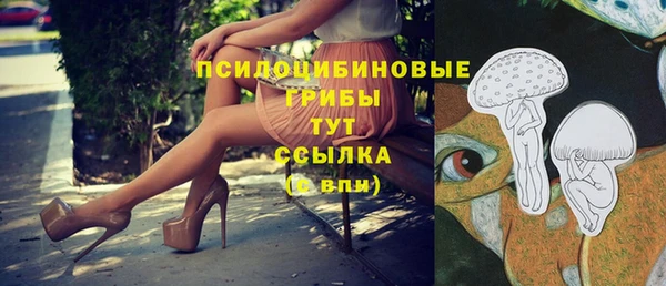 apvp Кинешма