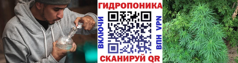 Конопля VHQ  Рославль 