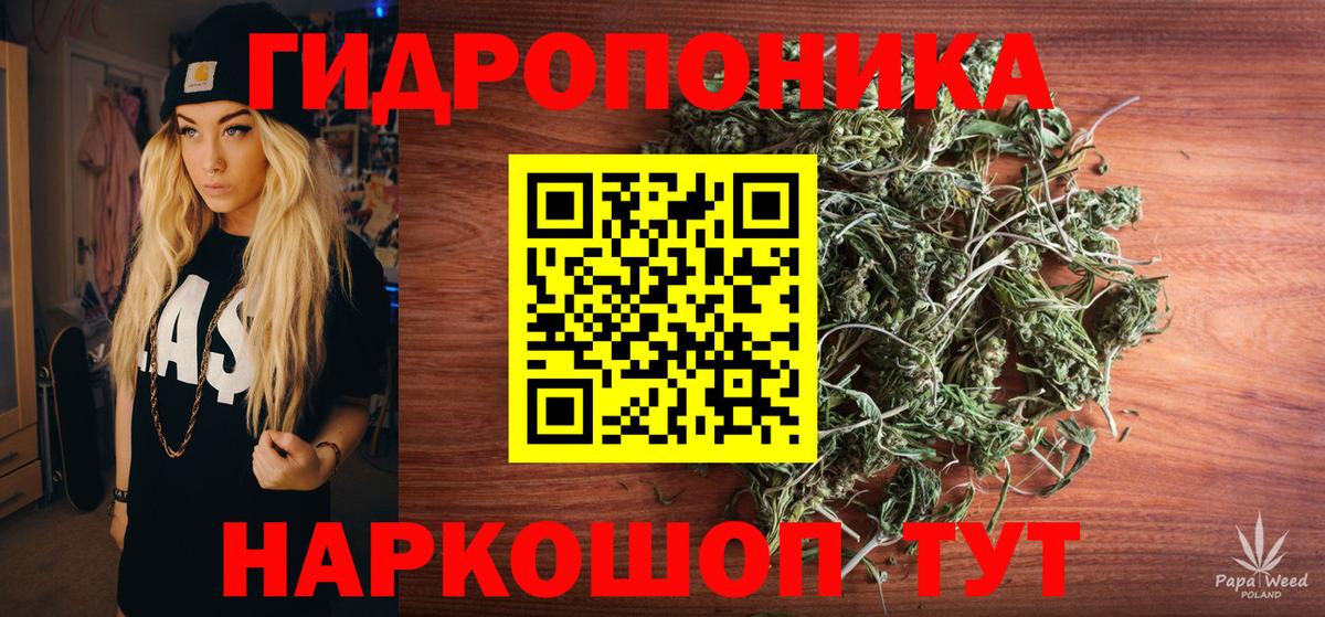 Шишки марихуана планчик  Вход с VPN  Марихуана планчик  Рославль  Бошки Шишки конопля 